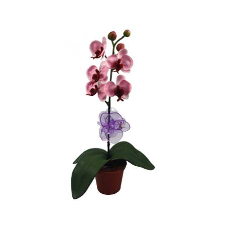 Зажим для орхидеи d5см h5см