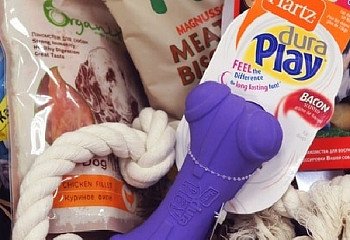 Товары для животных