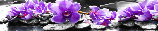 Фартук кухонный (0,6х3,0) Цветы-51 Фиолетовые орхидеи (АБС)