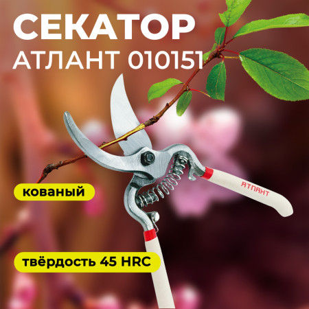 Секатор 210мм кованые ручки Атлант 010151