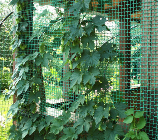 Решетка садовая СР-15 15х15 (1х20 м (+/-0,5)) зеленый