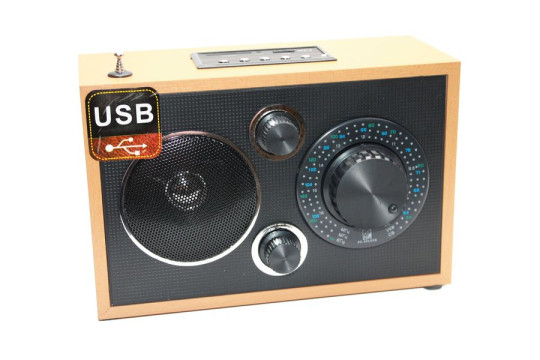 Радиоприемник БЗРП РП-301, 220 Вт, USB, SD 1106209