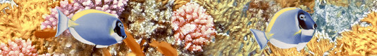 Бордюр (30х4,5) Alba Reef (AL-B-RF) (Terracotta, Россия)