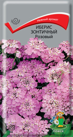 Семена Иберис зонтичный Розовый (Поиск)