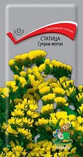 Семена Статица Суприм Желтая (Поиск)
