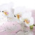 Стол М50 "Диамант" со стеклянной вставкой белая орхидея/белый, гнутые с утонением/белый глянец, 1100х680/1400 ТР