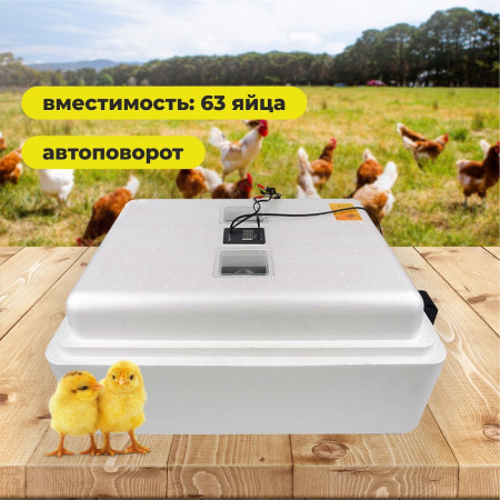 Инкубатор бытовой "Несушка" 63/220/12 автоповорот, цифровой термометр (н/н 46)