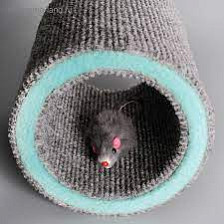 Игрушка-когтеточка для кошки Кошки-мышки 16х9см 4506408