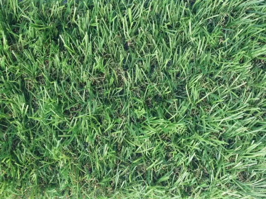 Покрытие ковровое Трава Grass Mix 2 м 3