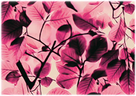 Покрытие напольное (0,65х15) фото FV36 пурпурные листья