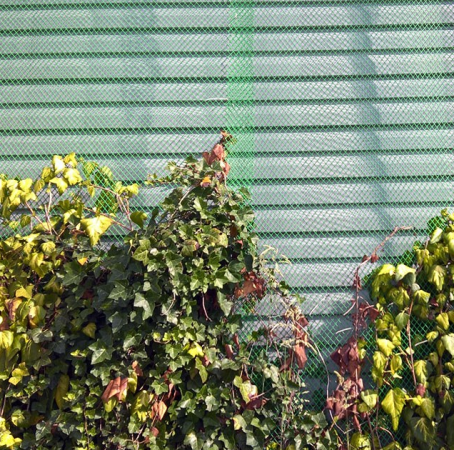Решетка садовая СР-15 15х15 (1,5х20 м (+/-0,5)) зеленый