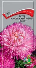 Семена Астра королевский размер Розовая (Поиск)