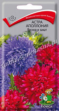 Семена Астра Аполлония Восход и Закат (Поиск)