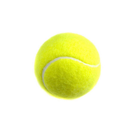 Мяч для большого тенниса TB-GA01 (РЛ)